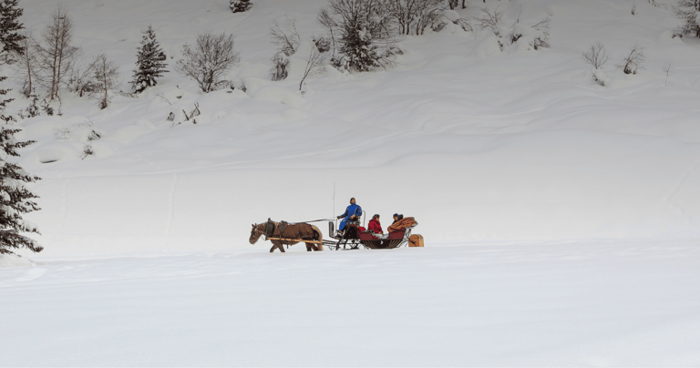 Horse-drawn carriage ride through a snowy Courchevel landscape